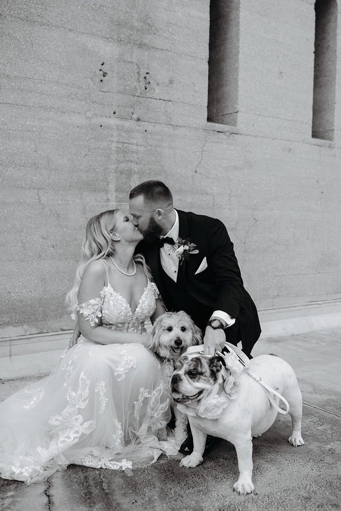 Bride and groom kissing with their dogs