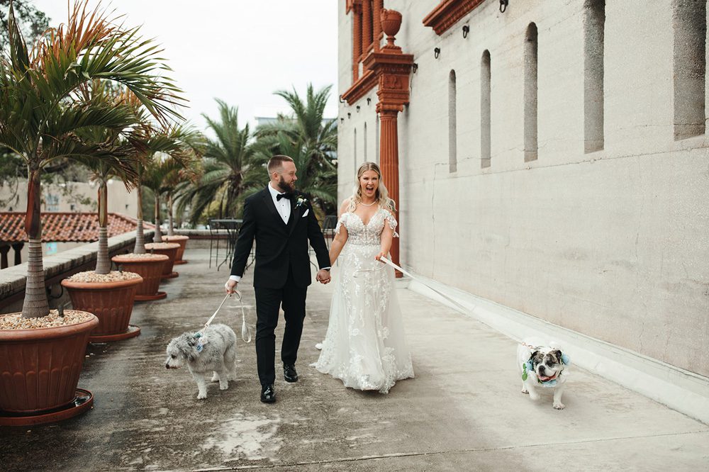 Bride and groom walking their dogs outside the Lightner Museum