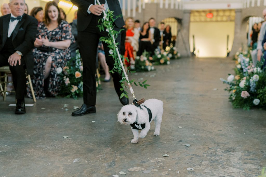 The couple's dog serving as ring bearer