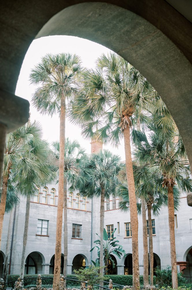 palm trees int he Lightner Museum gardens.