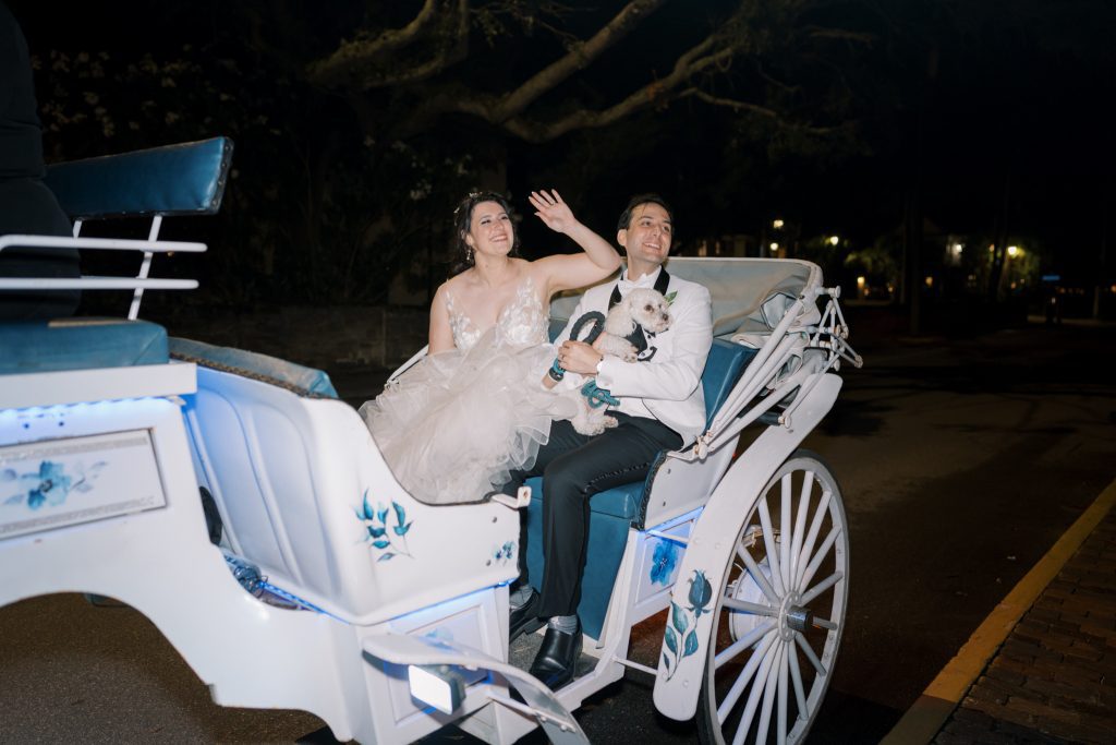 Cory and David in horse-drawn carriage