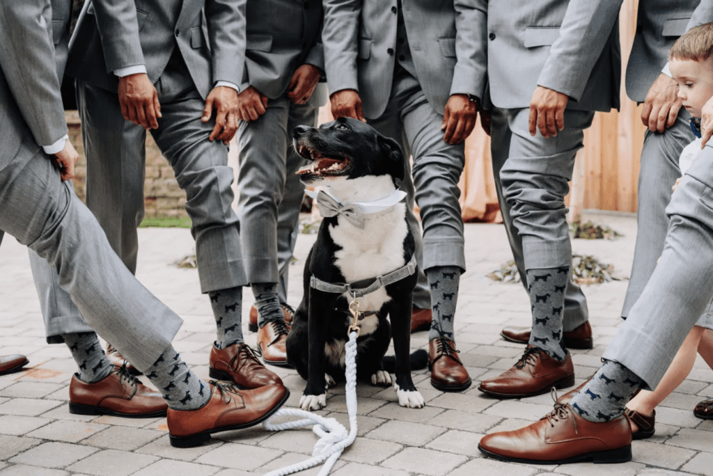 groom and groomsmen showing off their dog socks with the groom's dog