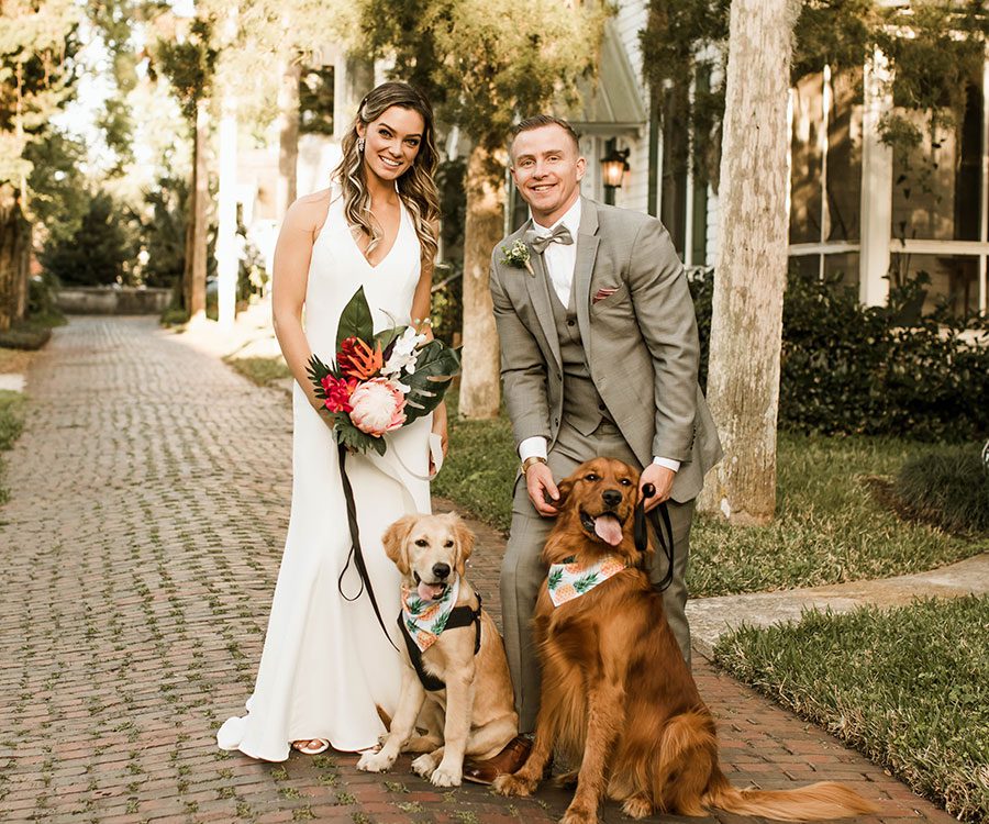 bride and groom posing on quiet brick street with two dogs