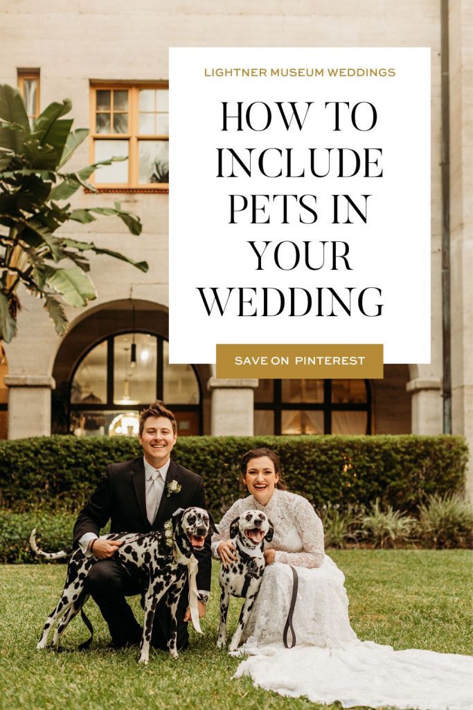How to Include Pets In Your Wedding Pinterest Pin